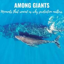 Marine Conservation in Costa Rica