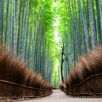 Kyoto Arashiyama Bamboo Forests