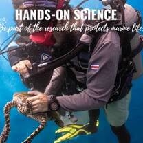 Marine Conservation in Costa Rica