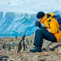 Student photographing a curious penguin