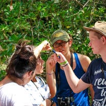 Students conducting field research in rainforest.