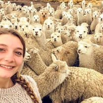 Student poses with flock of sheep.