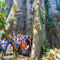 Students pose with a giant tree