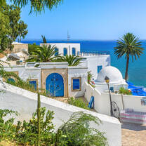 View in Sidi Bou Said