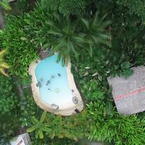 Picture from above