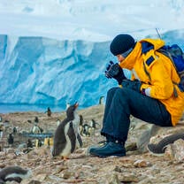 Student photographing a curious penguin