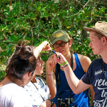 Students conducting field research in rainforest.