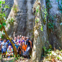 Students pose with a giant tree
