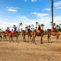 Students on camels in Morocco.