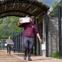 Animal conservation volunteers