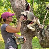 Lemar conservation Madagascar