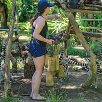 Wildlife conservation Madagascar