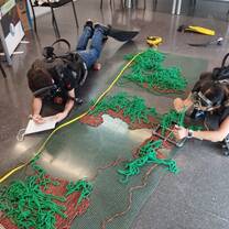 Marine Conservation Spain
