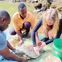 Turtle conservation volunteers Zanzibar