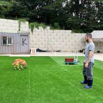 Dog rescue volunteers in Seoul