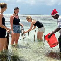 Turtle conservation volunteers Zanzibar