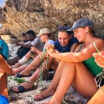 Turtle conservation volunteers Zanzibar