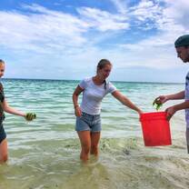 Turtle conservation volunteers Zanzibar
