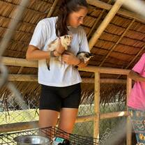 Animal care volunteer 