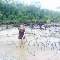 Enviromental volunteer planting 
