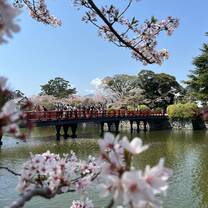 Students on a bridge over a river or pond with cherry blossoms in view