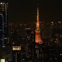 View of Tokyo Tower at night