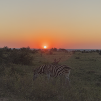 Sunsets in Africa 