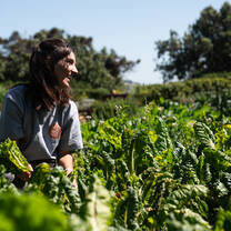 Good Hope Volunteers - Urban Farming