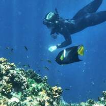 Scuba Galapagos