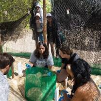 Beach Cleanup