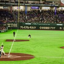 Remember what I said about baseball in Japan? While in Tokyo, if the Giants are in town, we will take in a ball game because the experience inside the Tokyo Dome is completely different from that of the Rogers centre in Toronto as an example. 
