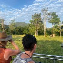 Elephant Research