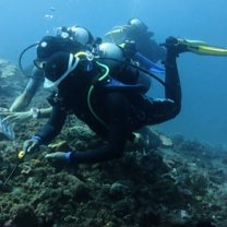 Reef Check Fish ID Survey