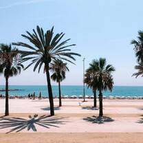 beach scene in Spain with palm trees