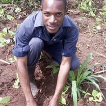 Community tree planting 