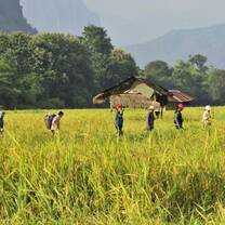 Volunteer in Laos