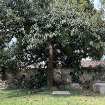 Relax and practice Spanish in our beautiful colonial courtyard. Spanish Antigua combines personalized language instruction with cultural immersion in one of Guatemala's most iconic destinations.