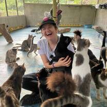 Voluntours Colombia - Dog & Cat Volunteering