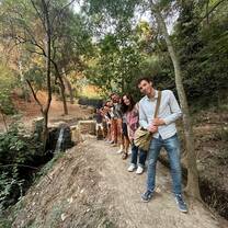 Bosque de la Alhambra