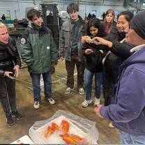 Meeting with Blue Ribbon Fish at Fulton Fish Market 