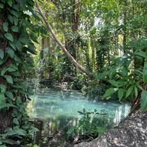 Natural pool