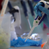 lab work