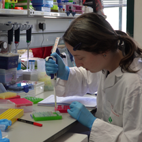 lab work