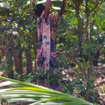 We interplant both trees and food. ( Food and nutrition is worked upon , fire wood and , soil erosion and animal feeds )