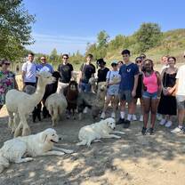 CET Siena students posing by animals at a local farm in Siena, Italy