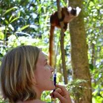 A volunteer observing a lemur in the rainforest in Madagascar