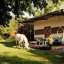 Imagine starting your day with horses grazing outside your cabin. At Rancho Ventura, you'll live where you learn, fully immersed in ranch life and nature.