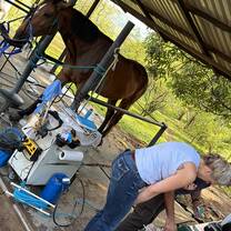 Explore equine health and veterinary practices through demonstrations and hands-on learning opportunities with experienced professionals.