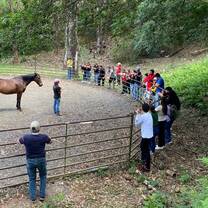 Students participate in interactive workshops focused on equine behavior, communication, and understanding horse body language through observation and hands-on learning
