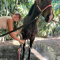 Develop practical animal care skills through daily routines including grooming, feeding, health observations, and stable management